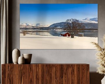 Winter auf der Insel Senja, Norwegen von Adelheid Smitt