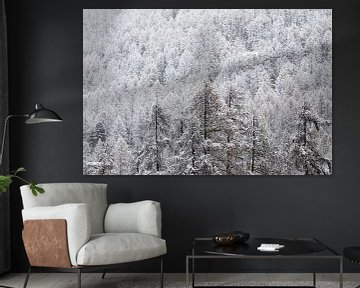 snowy trees by Mark Thurman