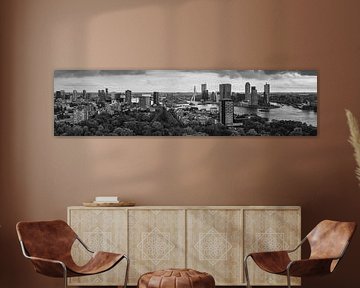 Panorama Rotterdam Euromast Schwarz-Weiss von Vincent Fennis