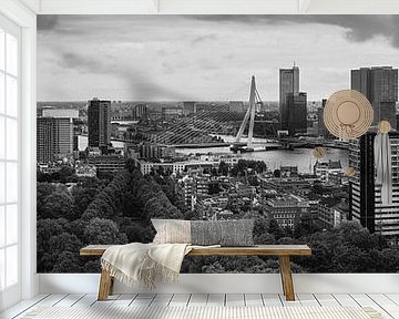 Panorama Skyline Rotterdam Euromast Zwart Wit van Vincent Fennis