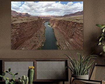 Colorado-Fluss, Arizona von Bernard van Zwol