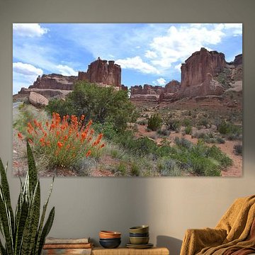 Utah, Arches National Park, VS van Bernard van Zwol