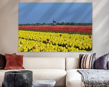 Nederlands plaatje met tulpen en een molen van Renzo de Jonge