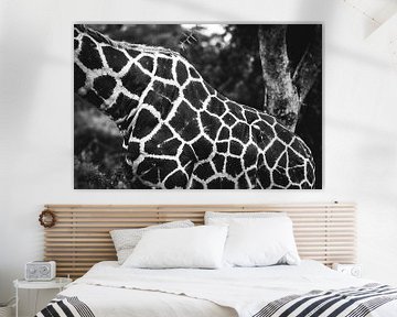 Giraffe / Dier in Afrika  / Artistiek zwart-wit beeld / Natuurfotografie / Oeganda van Jikke Patist