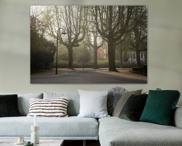 Noorderplantsoen Groningen, Kruissingel | Foggy morning at the park pond by Hessel de Jong