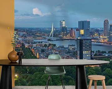Panorama Rotterdam / Euromast / 2013 by Rob de Voogd / zzapback