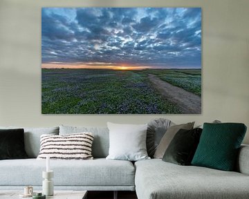 Slufter Texel Sunset sur Texel360Fotografie Richard Heerschap