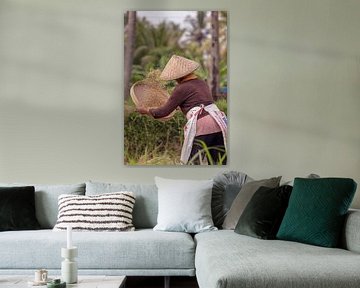 Het oogsten van de rijst in de rijstvelden van Ubud, Bali van Jeroen Langeveld, MrLangeveldPhoto