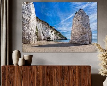 Pizzomuno Limestone Monolith and Beach, Vieste, Italy by Adelheid Smitt
