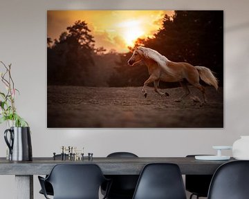 Galoppierendes Pferd in den Dünen von Soester / Niederlande / Tierfotografie / Golden Hour von Jikke Patist