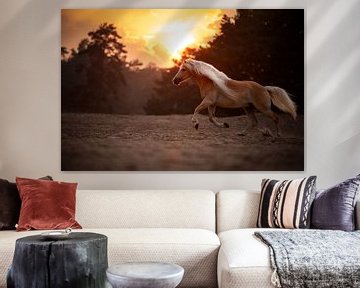 Galopperend Paard in de Soester Duinen / Nederland / Dierenfotografie / Gouden Uur van Jikke Patist