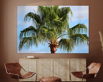 Toppen van een palmboom op Tenerife van Reiner Conrad