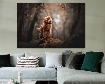 Warm gekleurd portret van een Poedel hond in het bos van Lotte van Alderen