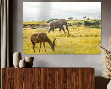 Olifant / Afrikaans kleurrijk landschap / Natuurfotografie / Oeganda van Jikke Patist