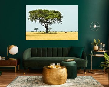 Impala in het typische Afrikaans landschap / Natuurfotografie / Oeganda van Jikke Patist