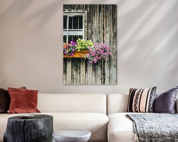 Fleurs sur la maison en bois sur Patrycja Polechonska