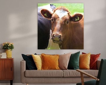Koeien van Fred Vester