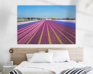 Luchtfoto van bloeiende tulpen op het platteland van Noord Holland in Nederland van Eye on You