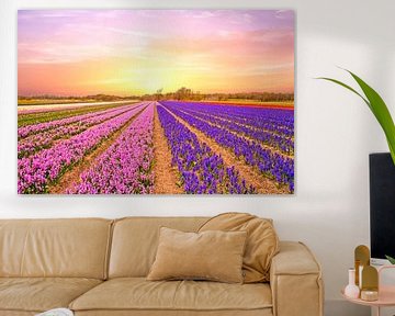 Bloeiende tulpen velden in Noord Holland van Eye on You
