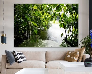 See-through jungle by Bianca ter Riet