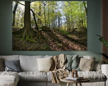 in the woods