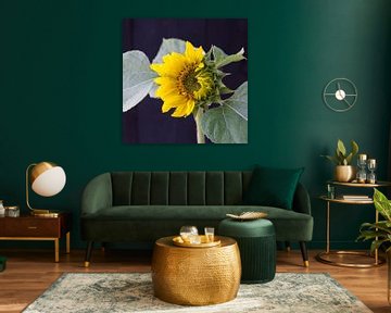 Hoppers Sonnenblume erwacht von Henriëtte Mosselman
