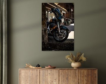 Black Harley Davidson van Raymond Voskamp