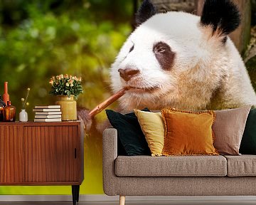 Panda aan het eten van Michael Bollen