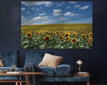 Endless Sunflowers by Yvonne Blokland