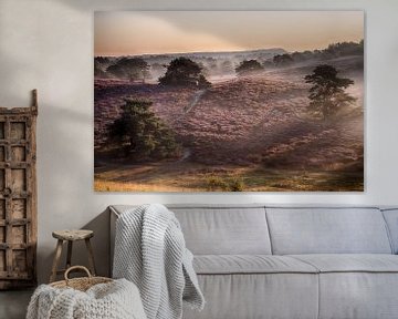 wanderlaar op de brunsummerheide van Ronenvief