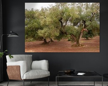 Sfeerfoto van olijfbomen in Puglia van Bianca ter Riet