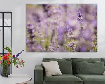 Lavendel von Andrea Fuchs