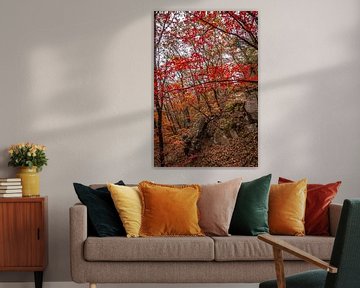 Herfst in de bossen van Bukhansan van Mickéle Godderis