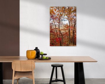 Herbstliche Farben in den Wäldern mit Blick auf einen nahe gelegenen Berggipfel von Mickéle Godderis
