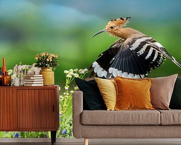 Eurasian Hoopoe (Upupa epops) in Italy by Beschermingswerk voor aan uw muur