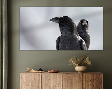 Portrait de deux corbeaux sur Beschermingswerk voor aan uw muur