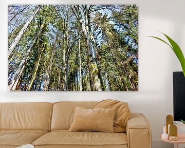 Trees in Höllbachtal