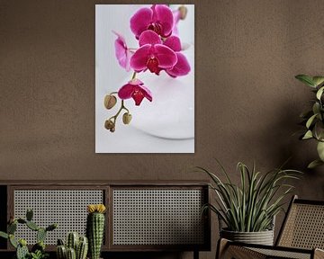 Stylish white vase with pink orchids in white interior by Tony Vingerhoets