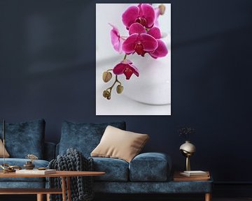 Stijlvolle witte vaas met roze orchideeën in wit interieur van Tony Vingerhoets