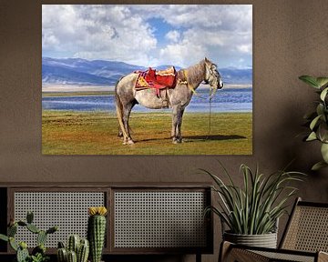 Tibetaanse paard bij bergachtig gebied in de buurt van Qinghai Lake van Tony Vingerhoets