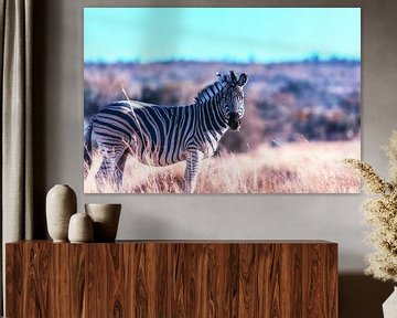 Zebra portrait on African savanna. by Aad Clemens