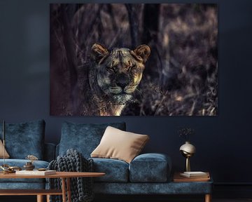 Close up of a Lioness in the bush by Aad Clemens