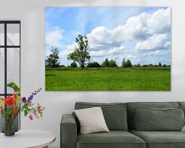 Nederlands polder landschap van Gerard de Zwaan