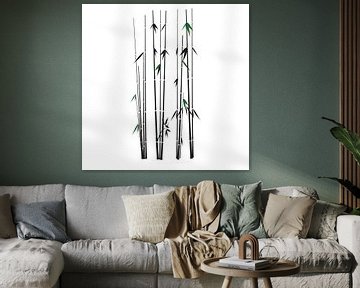 Bamboe takken groen en zwart op wit van sarp demirel
