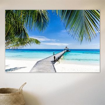 Blick ins Tropenparadies durch eine fast unbewohnte Insel von Michael Bollen