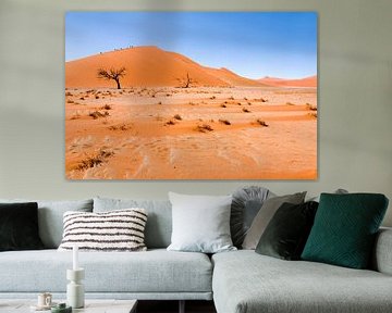Paysage Namibie, Afrique, Sossusvlie, Désert, Couleur, Orange