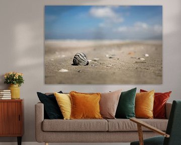 shell photo of terschelling by Karijn | Fine art Natuur en Reis Fotografie