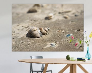schelp in zand op schiermonnikoog van Karijn | Fine art Natuur en Reis Fotografie