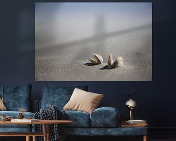 zandstorm en schelpen op schiermonnikoog van Karijn | Fine art Natuur en Reis Fotografie