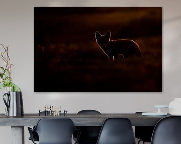 Fox von Pim Leijen